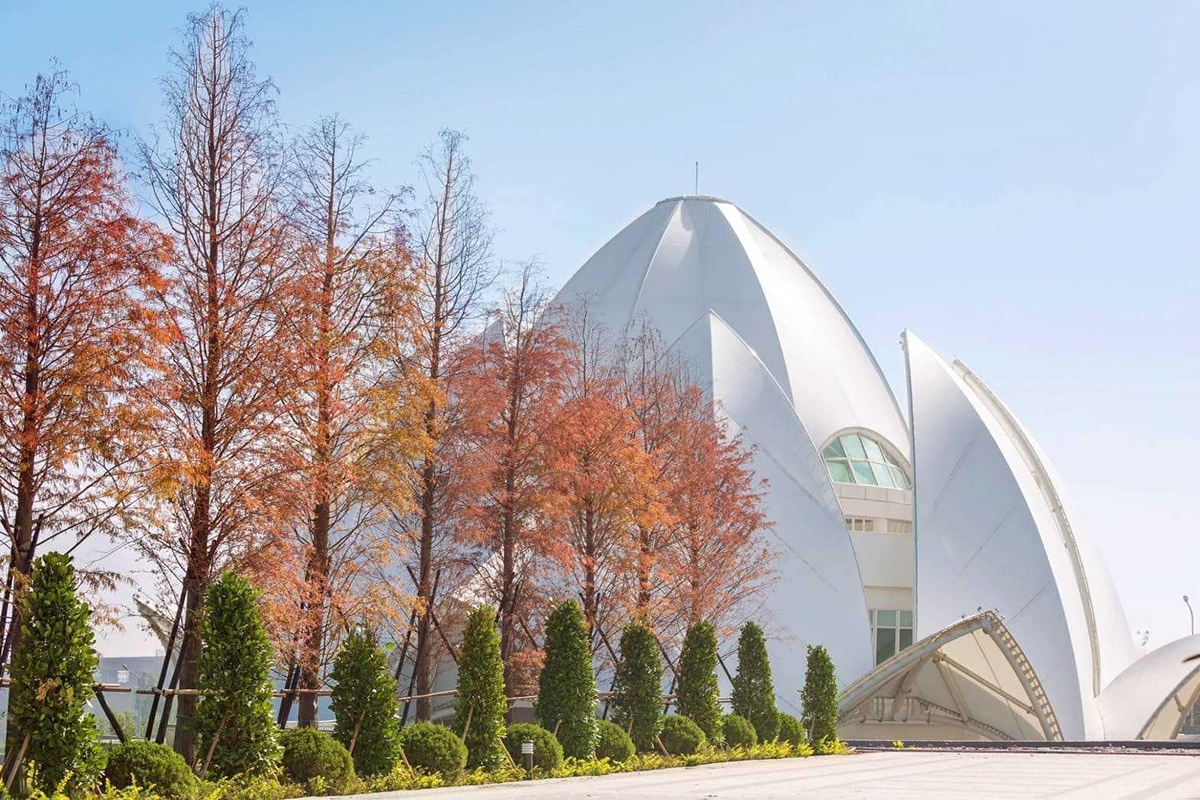 福龍紀念園整排落雨松_台中塔位墓園靈骨塔推薦